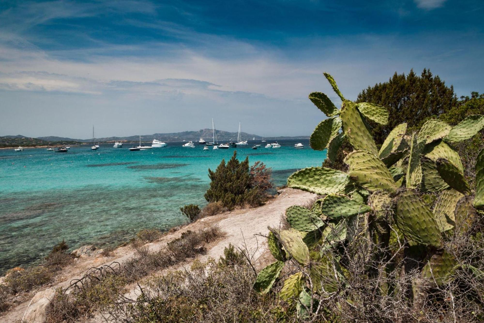 Villetta Franca 100M From The Beach - Happy Rentals Golfo Aranci Bagian luar foto